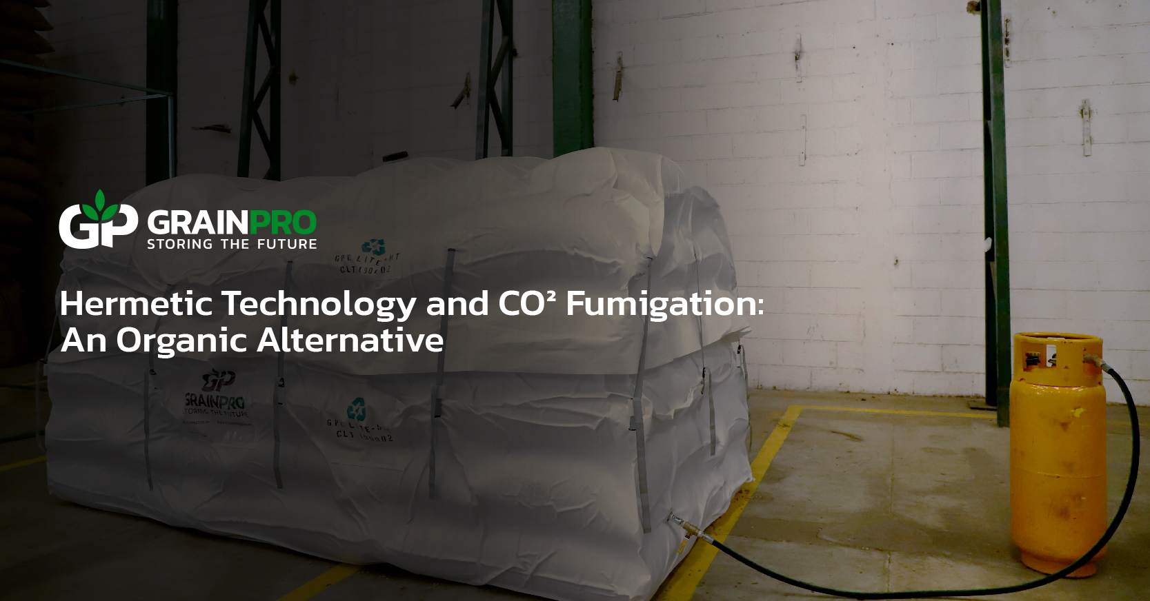 Hermetic Technology and CO2 Fumigation An Organic Alternative